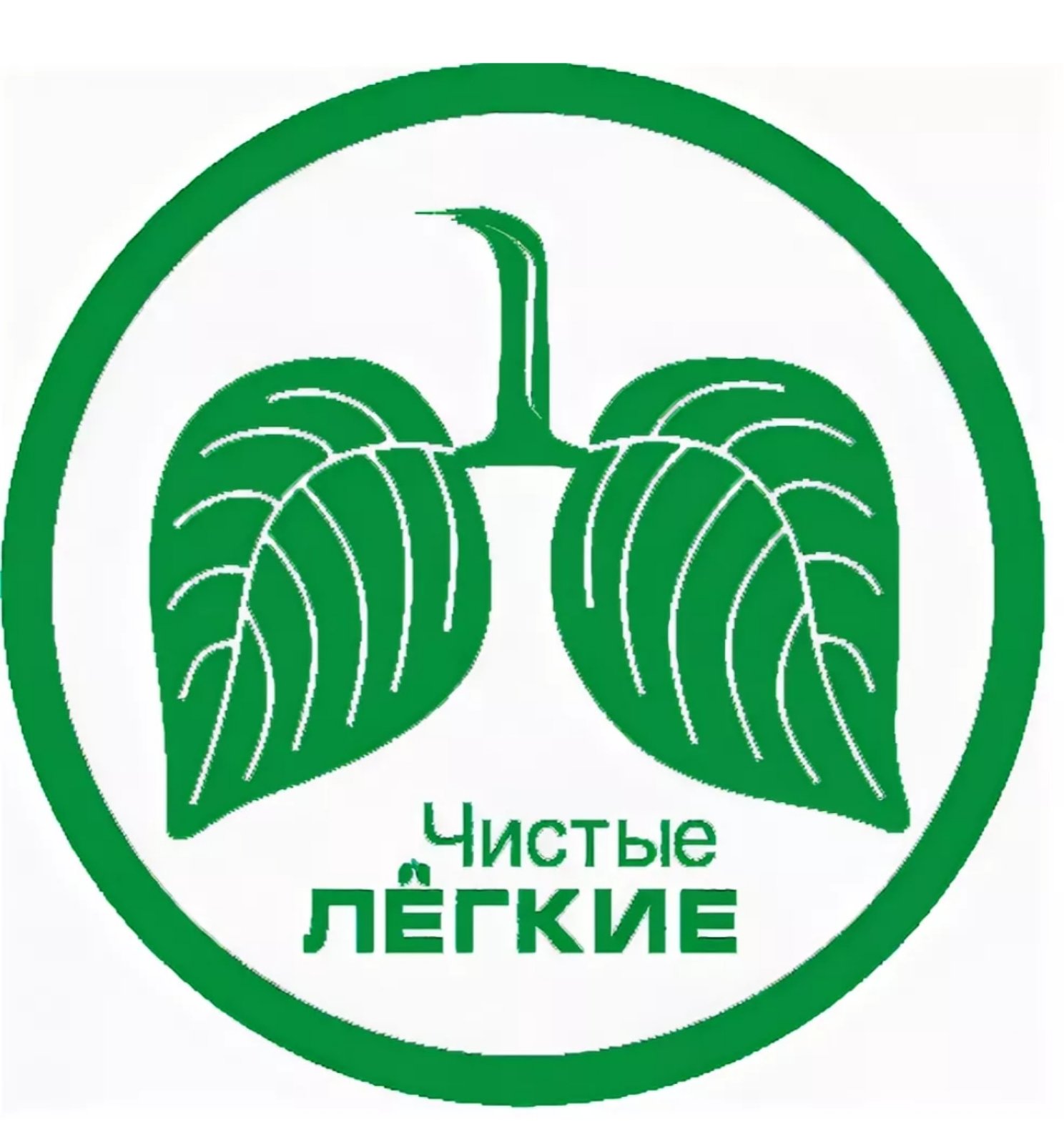 О вреде курения сигарет и вейпов.